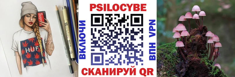 ОМГ ОМГ зеркало  Протвино  Псилоцибиновые грибы Psilocybine cubensis 